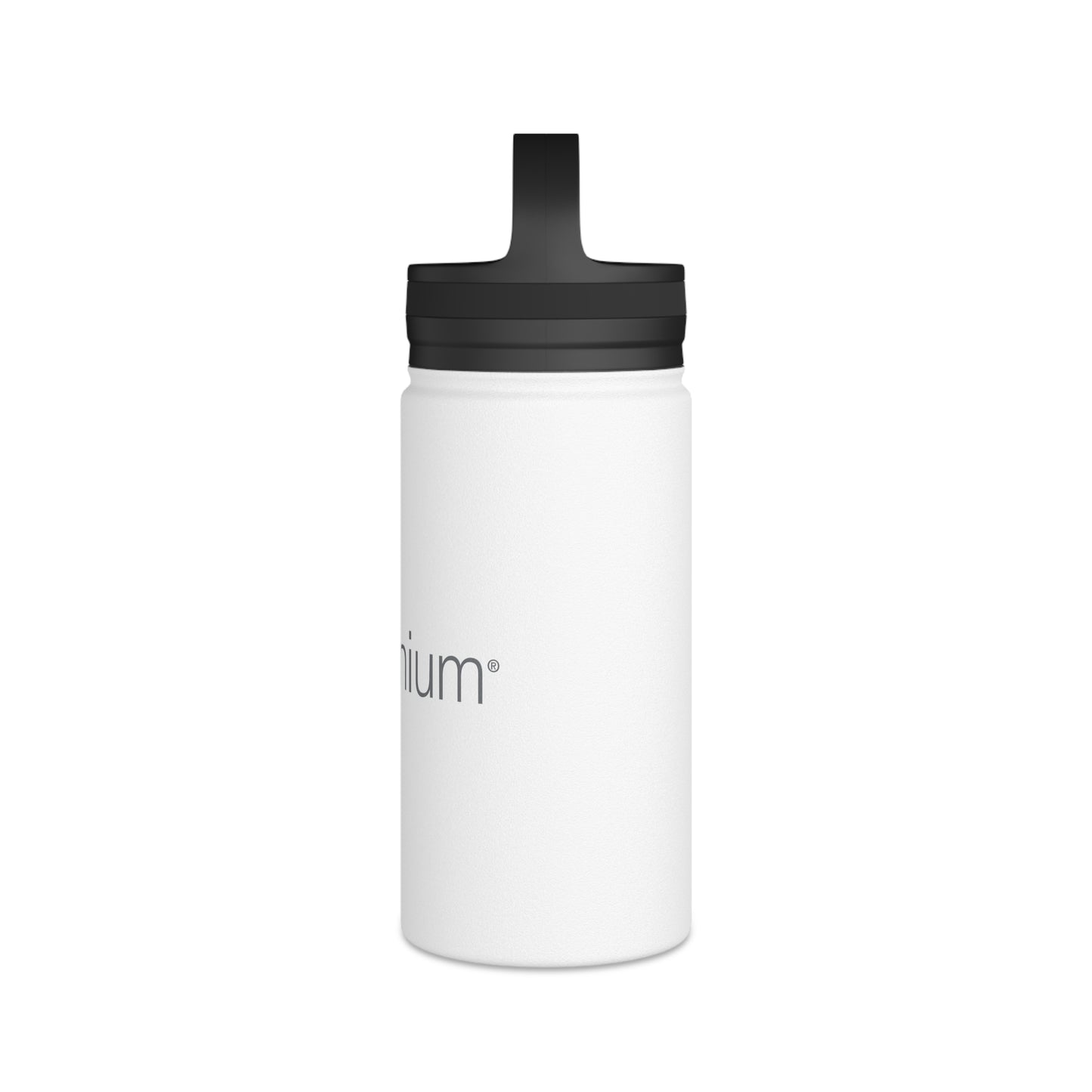 Stainless Steel Water Bottle, Handle Lid